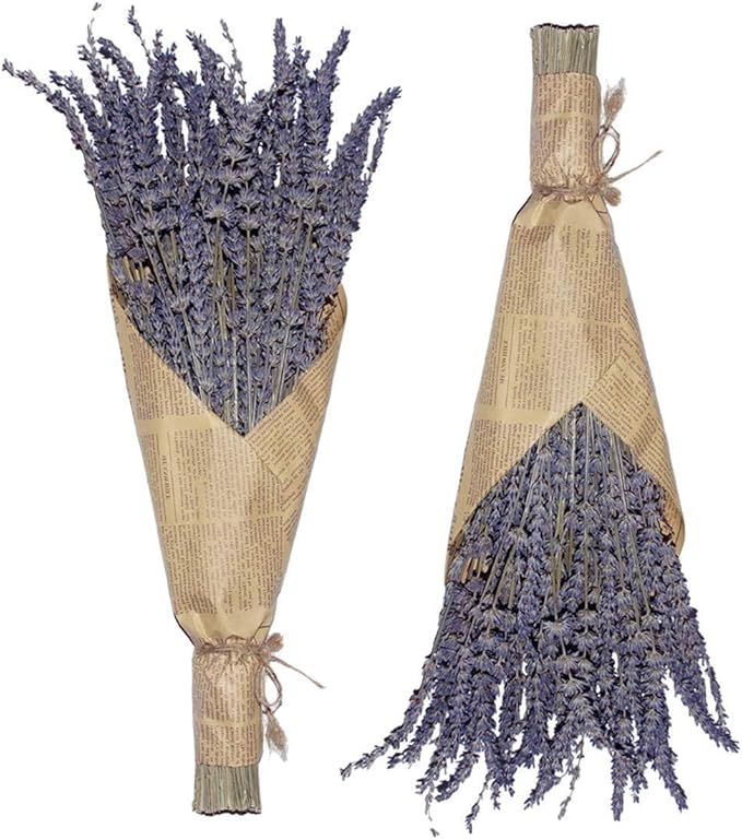 Cedar Space Lavender Dried Flowers 2 Bunches Dried Lavender Ideal Home Fragrance Products for Home Decorations, Wedding, Party, Photography & Flower Arrangements, Total Length 16 Inches