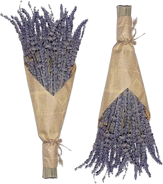 Cedar Space Lavender Dried Flowers 2 Bunches Dried Lavender Ideal Home Fragrance Products for Home Decorations, Wedding, Party, Photography & Flower Arrangements, Total Length 16 Inches