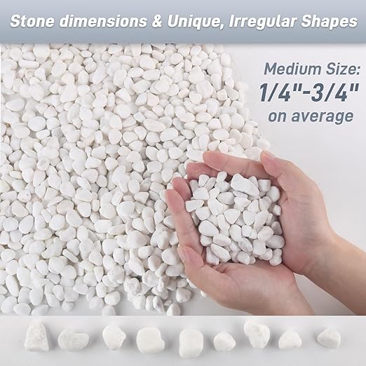 12Lb White Rocks for Plants, 1/4"-3/4" White Pebbles, Decorative Stones for Vases, Small Aquarium Gravel for Fish Tank Garden Rocks for Potted Plants & Home Decor