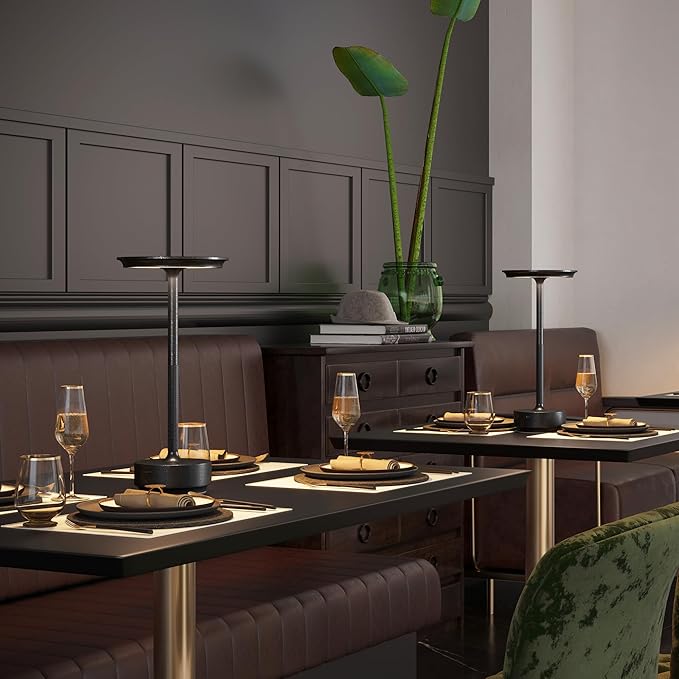 2 Pack Rechargeable Table Lamps Cordless, Portable 5000mAh Outdoor Table Light, 3 Color Stepless Dimming LED Table Lamp with Memory Function, for Home/Dinner/Patio/Restaurant.(Diamond Black)