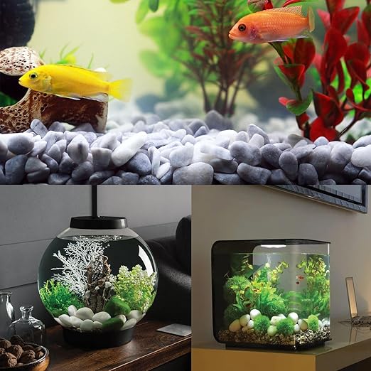 White Rocks for Plants, 2-3 Inch Pebbles for Indoor Plants, 10 lbs River Rocks Decorative Stones, Ideal for Fish Tank, Vases, Crafting, Home Decor and Garden Landscaping Rocks