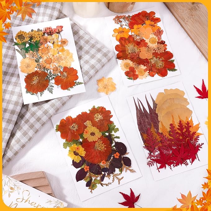 100 Pcs Fall Dried Pressed Flowers, Real Orange Dried Wildflowers Leave with Tweezer Floral Decoration for DIY Crafts, Candle Making, Resin Mold and Scrapbooking