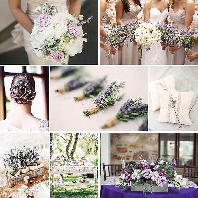 Cedar Space Lavender Dried Flowers 2 Bunches Dried Lavender Ideal Home Fragrance Products for Home Decorations, Wedding, Party, Photography & Flower Arrangements, Total Length 16 Inches