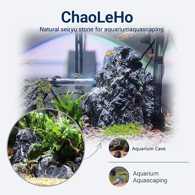 Natural Rocks Seiryu Stones Aquariums Stones for Aquascaping, Aquariums, Terrariums, Vivariums Decorative Stone,Reptile Enclosures,Paludariums,and Gardens-10LB（2 to 7 inch）