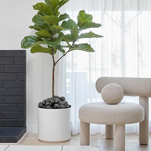 1-2 Inch River Rocks for Landscaping, 20lbs Big Black Pebbles, Hand-Picked Premium Stones for Garden Design, Fish Tank, Flower Pots