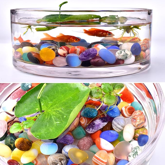 Polished Stone Set Colorful Agate Crystals, 0.8" Handpicked Tumbled Gemstones Rocks, Pebbles for Reiki, Chakra, Healing, Home Decor