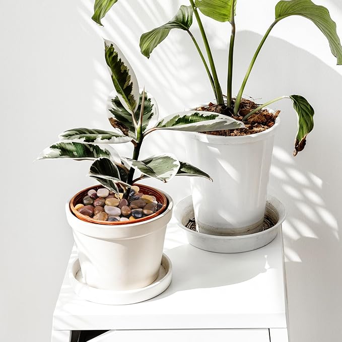 40lbs Pebbles for Landscaping, 1-2Inch Mixed Color Natural River Rocks for Aquarium, High Polished Decorative Stones for Vase Filler Fish Tank Gardening