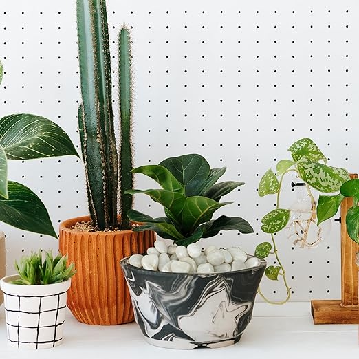 2lbs White Pebbles for Indoor Plants, 1-2Inch Natural River Rocks for Aquarium, High Polished Decorative Stones for Vase Filler Fish Tank Landscaping Garden