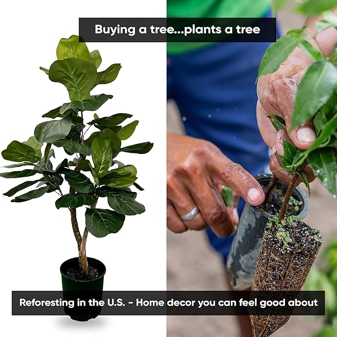 Cypress & Alabaster Handmade 3ft Fiddle Leaf Fig Ficus Lyrata Artificial Tree with Ethically Sourced Real Wood Trunks, Hypoallergenic, 3-Foot, Green