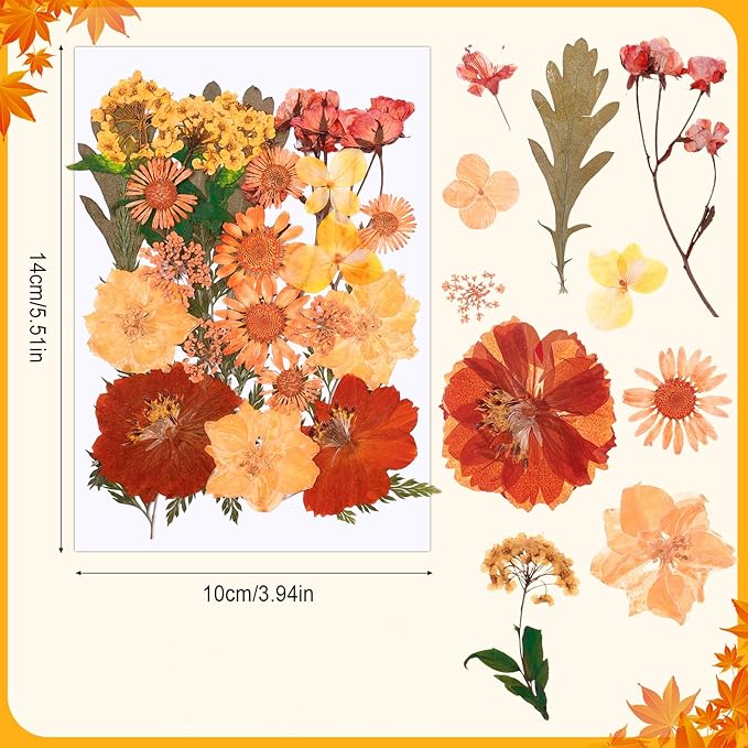 100 Pcs Fall Dried Pressed Flowers, Real Orange Dried Wildflowers Leave with Tweezer Floral Decoration for DIY Crafts, Candle Making, Resin Mold and Scrapbooking