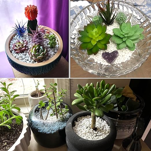 6Lb White Rocks for Plants, 1/4"-3/4" White Pebbles, Decorative Stones for Vases, Small Aquarium Gravel for Fish Tank Garden Rocks for Potted Plants & Home Decor