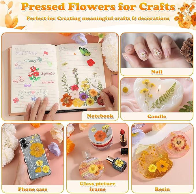 361 Pcs Pressed Dried Flowers with Butterfly Stickers for Crafts, Real Pressed Wildflowers Dry Leaves Bulk with Tweezer for Resin Jewelry Molds, Candle Soap Making, Scrapbook, Bookmark, Nails Decor