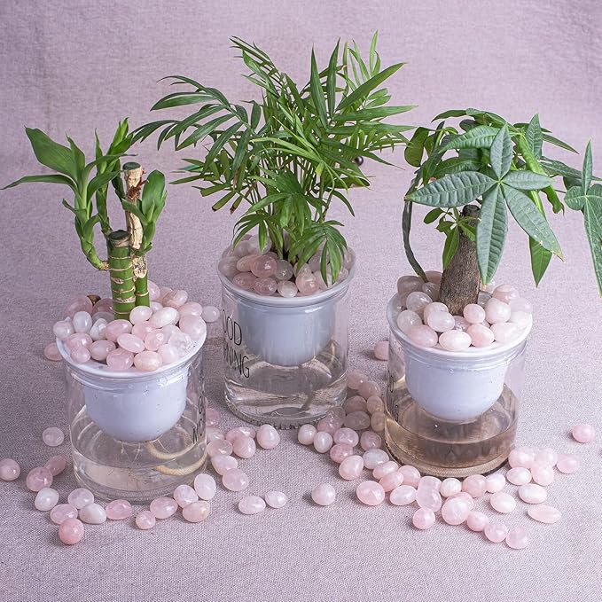 Polished Natural Rose Quartz Crystals - 72 Pcs, 0.5" 10 oz Handpicked Natural Tumbled Gemstones Rocks, Pebbles for Reiki, Chakra, Healing Home Decor