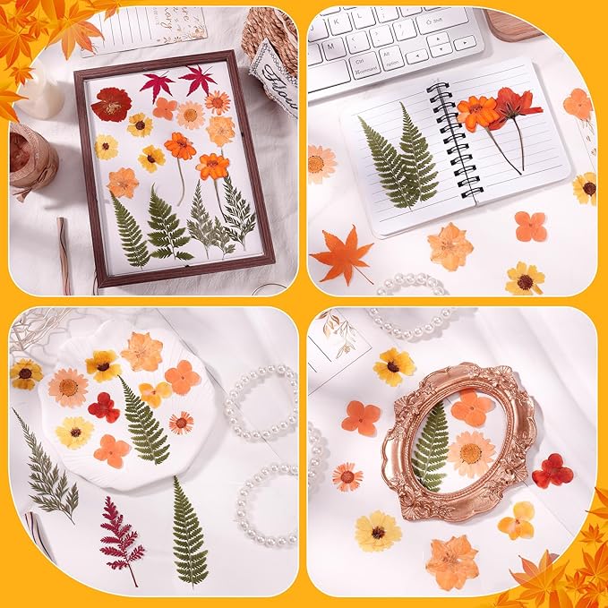 100 Pcs Fall Dried Pressed Flowers, Real Orange Dried Wildflowers Leave with Tweezer Floral Decoration for DIY Crafts, Candle Making, Resin Mold and Scrapbooking