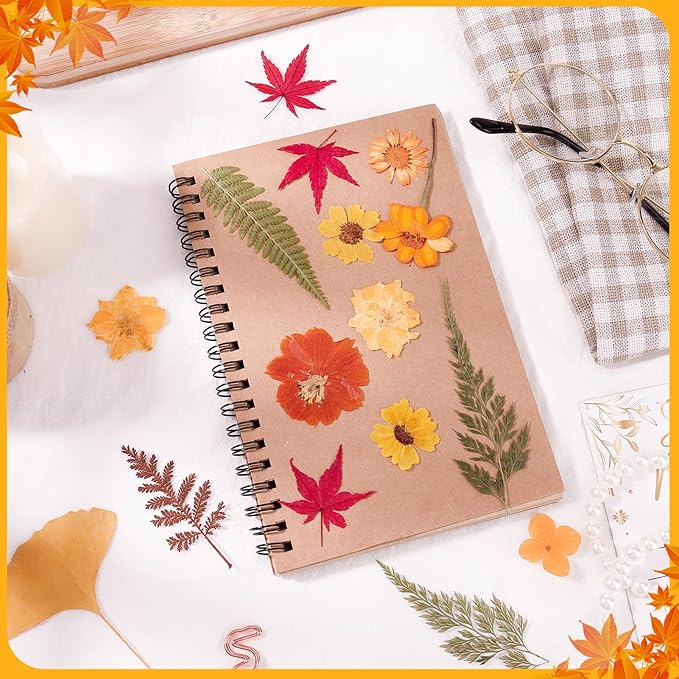 100 Pcs Fall Dried Pressed Flowers, Real Orange Dried Wildflowers Leave with Tweezer Floral Decoration for DIY Crafts, Candle Making, Resin Mold and Scrapbooking