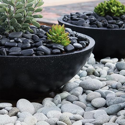 2lbs Black Pebbles for Indoor Plants, 1-2Inch Natural River Rocks for Aquarium, High Polished Decorative Stones for Vase Filler Fish Tank Landscaping Garden