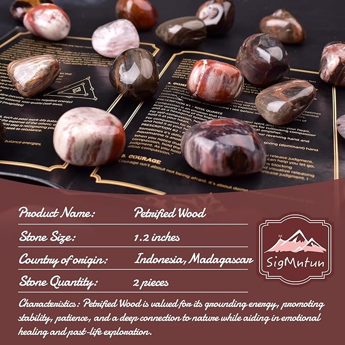 Polished Petrified Wood Crystal Stones - 2 Pcs of 1.2" Worry Stone for Anxiety, Pocket Palm Stone Super Large Handpicked Natural Tumbled Gemstones for Meditation, Reiki, Chakra Healing, Home Decor