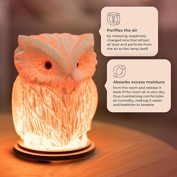 Owl Crystal Salt Lamp H 6.7”, 4.4 lbs - Pure Natural Rock Salt – Unique Night Light Lamp - 1 Light Bulb as a Gift - Wooden Present Box - Holiday Gift Ideas - Cool Room Décor