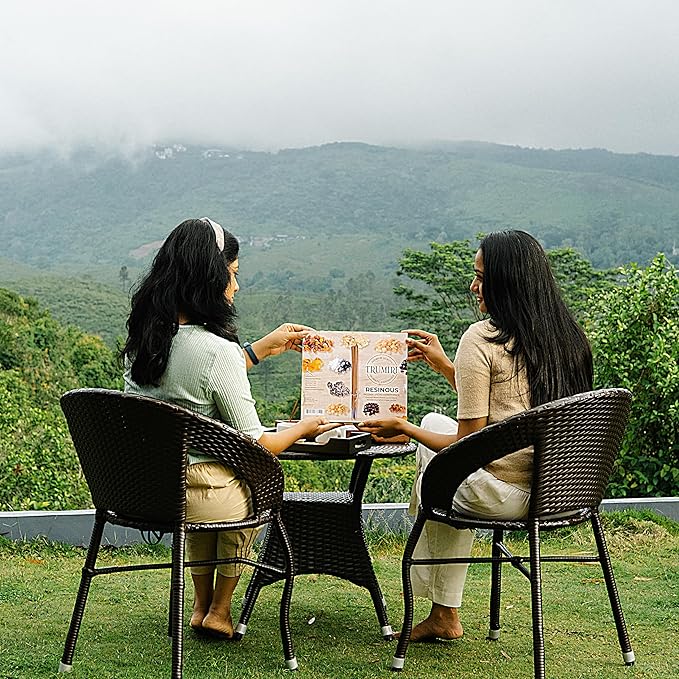 Trumiri Incense Sticks - 120 Insence-Sticks (20 Insense x 6 Incents) - Incienso Inscents-Sticks with Dragon Blood Frankincense Myrrh Benzoin Amber Copal Resin and Camphor Alcanfor + Incense Holder