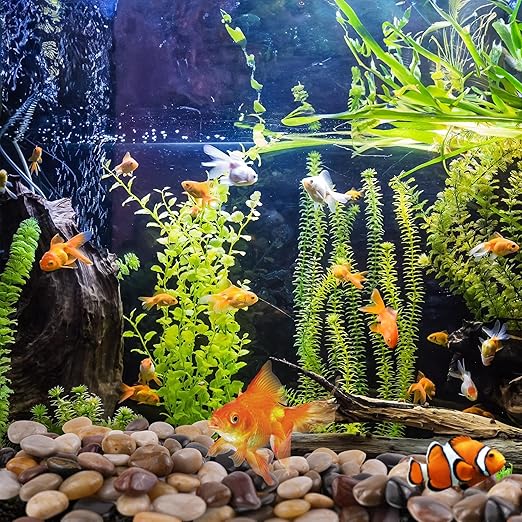 40lbs Black Pebbles for Landscaping, 1-2Inch Natural River Rocks for Aquarium, High Polished Decorative Stones for Vase Filler Fish Tank Gardening